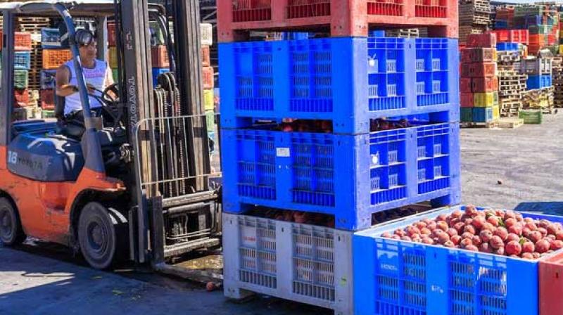 India can grab a good share of the $10 million US exports of these products. India can grab a good share of the $10 million US exports of these products.