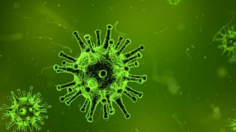 Scientists find new Ebola vaccines safe. (Photo: Pixabay) Scientists find new Ebola vaccines safe. (Photo: Pixabay)