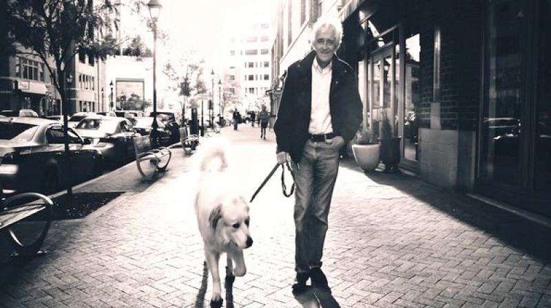 Older women who pet dogs in need of walking were especially at risk of injuries as compared to elderly men. (Photo: Representational/ANI) Older women who pet dogs in need of walking were especially at risk of injuries as compared to elderly men. (Photo: Representational/ANI)