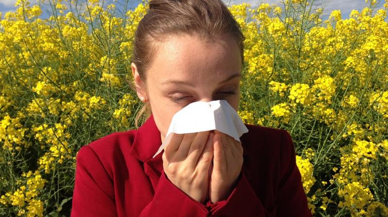 Scientists discover how our body's immune system clears harmful infections.(Photo: Pixabay) Scientists discover how our body's immune system clears harmful infections.(Photo: Pixabay)