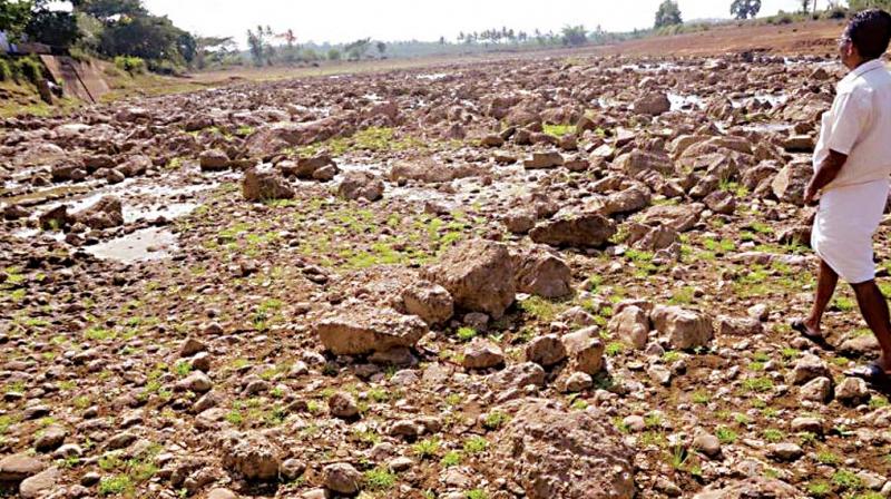 The aggrieved farmer, Moodegowda of Upparakanahalli village of Mandya district, threatened to take his own life if the government or the CM stepped in and helped him. Mr Basave Gowda, father of Moodegowda had borrowed Rs 1.75 lakh as crop loan from State Bank of India, Mandya branch in 2011. The aggrieved farmer, Moodegowda of Upparakanahalli village of Mandya district, threatened to take his own life if the government or the CM stepped in and helped him. Mr Basave Gowda, father of Moodegowda had borrowed Rs 1.75 lakh as crop loan from State Bank of India, Mandya branch in 2011.