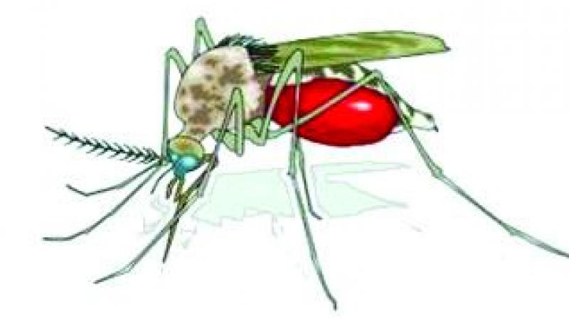 Malaria remains one of the world's leading killers, claiming the life of one child every two minutes. Malaria remains one of the world's leading killers, claiming the life of one child every two minutes.