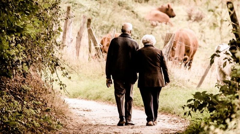 New study identifies important factors that affect older cancer patients. (Photo: Pixabay) New study identifies important factors that affect older cancer patients. (Photo: Pixabay)