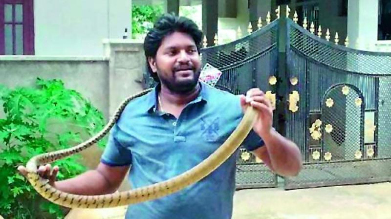 A file picture of Dhanush Mudiraj while rescuing a snake A file picture of Dhanush Mudiraj while rescuing a snake