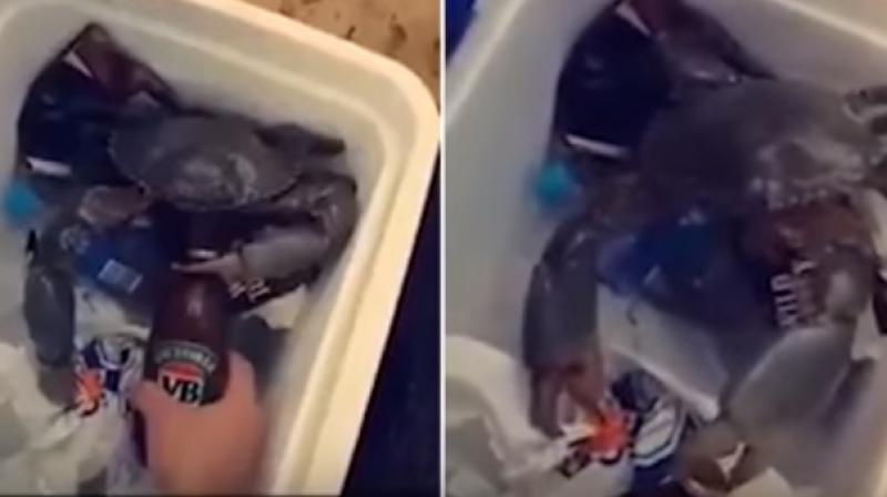 The viral video was posted first on Aussie Comedy and it has been going viral since then. (Photo: Youtube) The viral video was posted first on Aussie Comedy and it has been going viral since then. (Photo: Youtube)