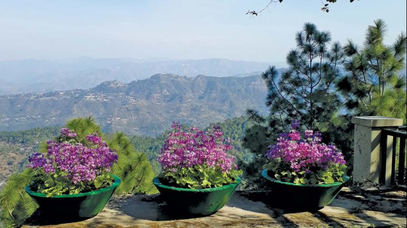 The quite cantonment area is a popular hill station among Indian as well as foreign tourists and is located at 6300 ft. above sea level. The quite cantonment area is a popular hill station among Indian as well as foreign tourists and is located at 6300 ft. above sea level.