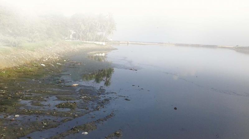 He observed that poll-utants accumulating in oceans and seas could affect the livelihood of fisherman living along the coastline due to low production of fish. (Photo: Representational Image) He observed that poll-utants accumulating in oceans and seas could affect the livelihood of fisherman living along the coastline due to low production of fish. (Photo: Representational Image)