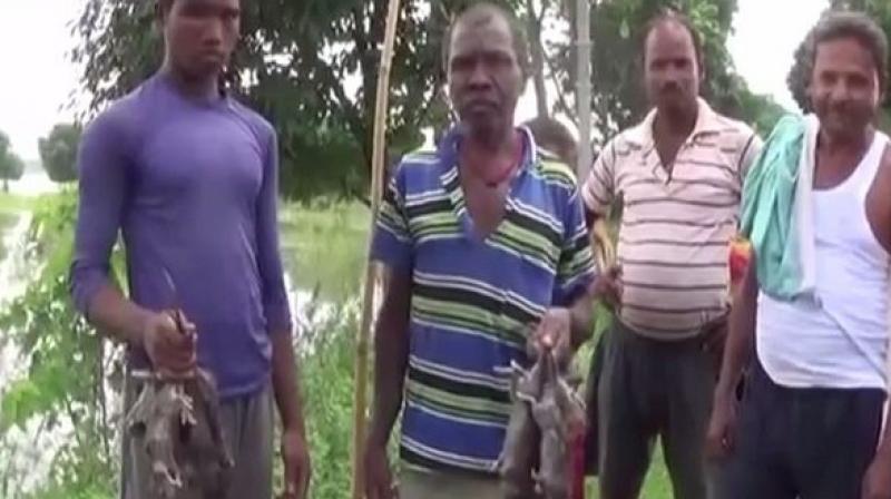 Bihar is witnessing floods as the water levels of several rivers have been rising following heavy rainfall in the past few days. (Photo: ANI) Bihar is witnessing floods as the water levels of several rivers have been rising following heavy rainfall in the past few days. (Photo: ANI)