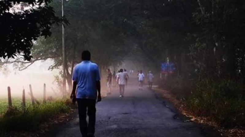 The cutting of trees is being opposed by green activists and local residents. (Photo: File) The cutting of trees is being opposed by green activists and local residents. (Photo: File)