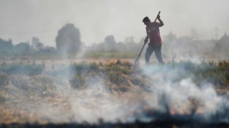 The scourge is compounded as farmers -- rushing to ready their fields for next season's wheat crop -- use fire to quickly and cheaply clear their land. (Photo: AFP) The scourge is compounded as farmers -- rushing to ready their fields for next season's wheat crop -- use fire to quickly and cheaply clear their land. (Photo: AFP)