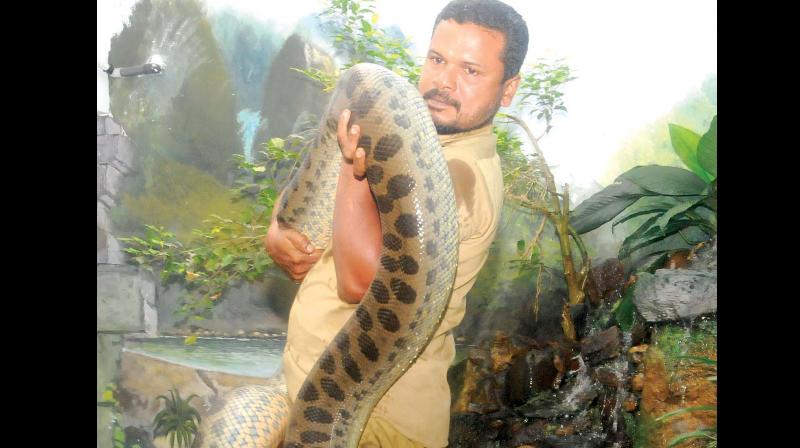 Thiruvananthapuram Zoo (Photo: keralanotebook.blogspot.in) Thiruvananthapuram Zoo (Photo: keralanotebook.blogspot.in)
