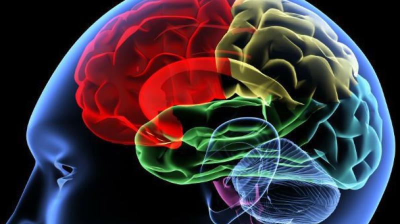 Elevated levels of the brain protein tau following a sport-related concussion are associated with a longer recovery period and delayed return to play for athletes. (Representational Image) Elevated levels of the brain protein tau following a sport-related concussion are associated with a longer recovery period and delayed return to play for athletes. (Representational Image)