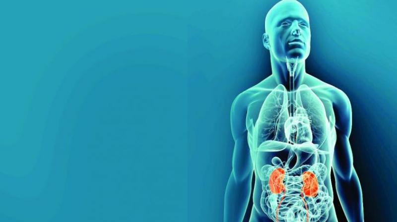 Patients on dialysis can face cardiovascular disease risk due to altered blood clots. (Photo: Pixabay) Patients on dialysis can face cardiovascular disease risk due to altered blood clots. (Photo: Pixabay)