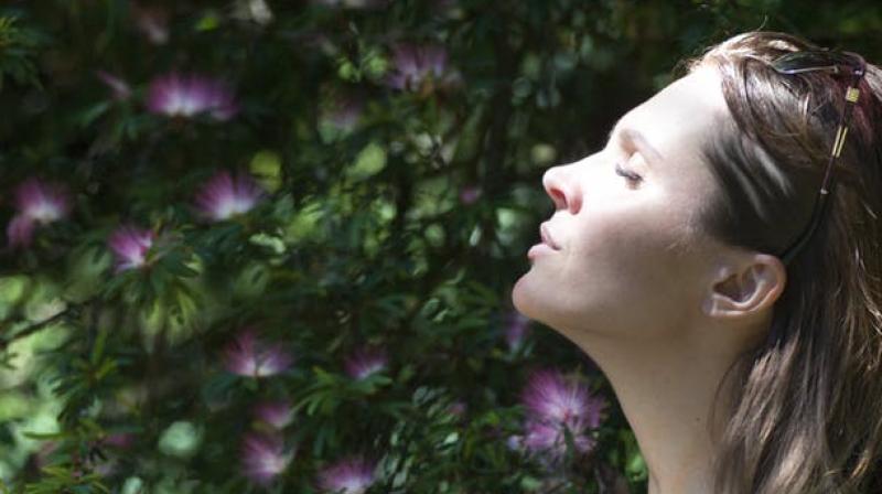 Flu can spread by simply breathing, new study warns. (Photo: Pixabay) Flu can spread by simply breathing, new study warns. (Photo: Pixabay)