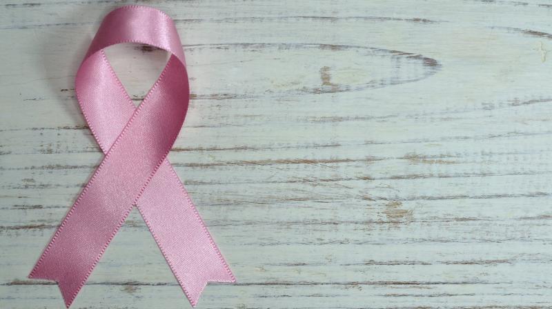 Soy-rich diets can reduce the rich of osteoporotic bone fractures which are wide-spread among breast cancer survivors. (Photo: Representational/Pixabay) Soy-rich diets can reduce the rich of osteoporotic bone fractures which are wide-spread among breast cancer survivors. (Photo: Representational/Pixabay)