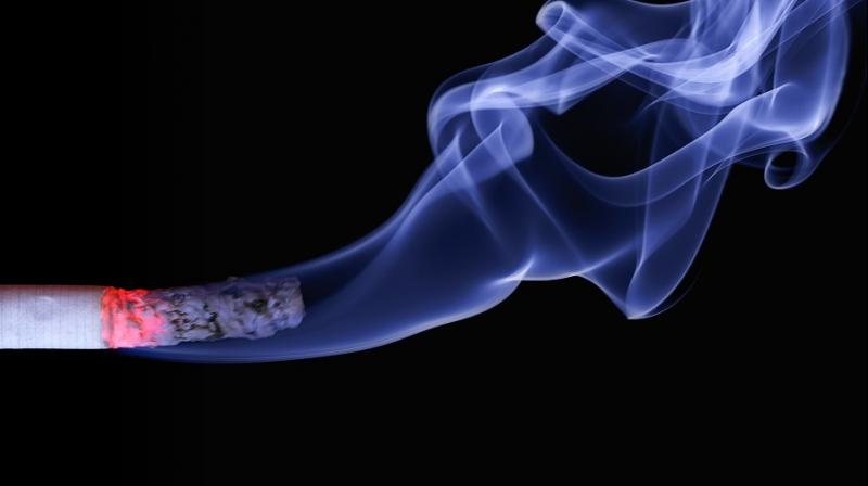 Obesity strongly influences smoking behaviour. (Photo: Pixabay) Obesity strongly influences smoking behaviour. (Photo: Pixabay)