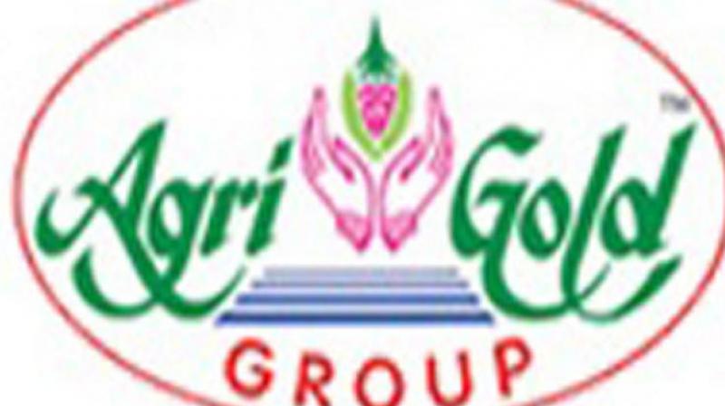 Agri Gold Group Of Companies logo Agri Gold Group Of Companies logo