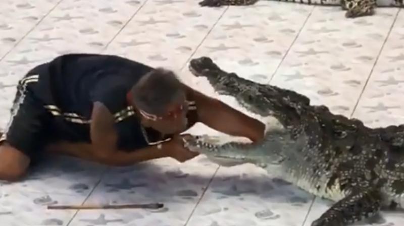 A visitor who recorded the incident said that the video seems to show that the crocodile didn’t like the arm near its jaws (Photo: YouTube) A visitor who recorded the incident said that the video seems to show that the crocodile didn’t like the arm near its jaws (Photo: YouTube)