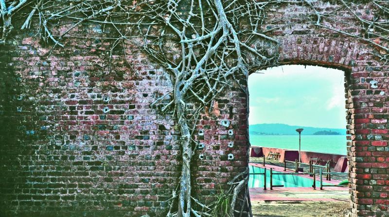 Another brick and branch in the wall Another brick and branch in the wall
