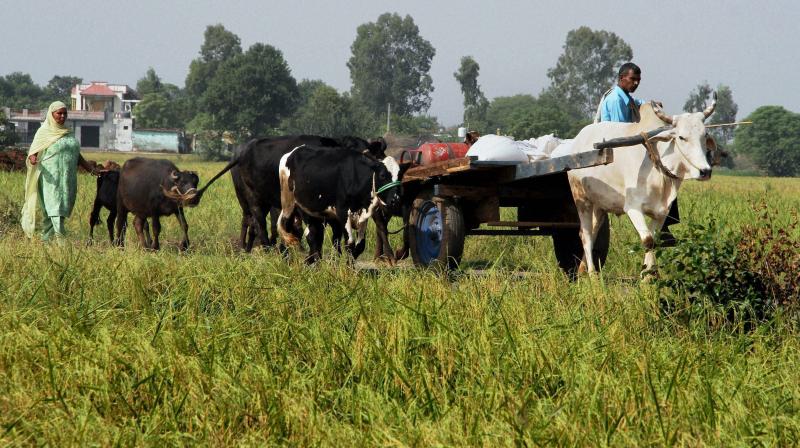 Villagers move towards a safer place to escape cross border firings at Abdulian village in RS Pura sector, Jammu. (Photo: PTI) Villagers move towards a safer place to escape cross border firings at Abdulian village in RS Pura sector, Jammu. (Photo: PTI)