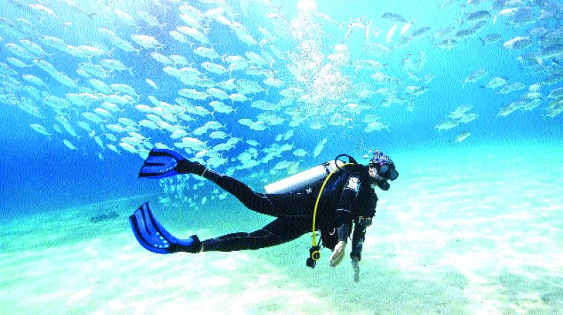 Scuba diving is gaining popularity as a sport. Scuba diving is gaining popularity as a sport.