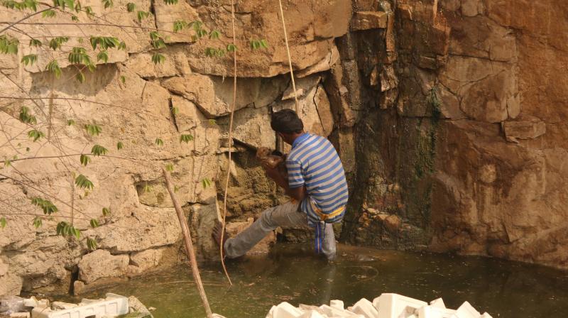 One of the members of the rescue team holds the puppy at the bottom of the pit. One of the members of the rescue team holds the puppy at the bottom of the pit.