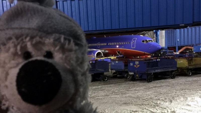 This December 2016 photo provided by Steven J. Laudeman shows stuffed bear named Teddy that Eleanor Dewald, 8, lost lost flying from Dallas to Detroit Metropolitan Airport. (Photo: AP) This December 2016 photo provided by Steven J. Laudeman shows stuffed bear named Teddy that Eleanor Dewald, 8, lost lost flying from Dallas to Detroit Metropolitan Airport. (Photo: AP)