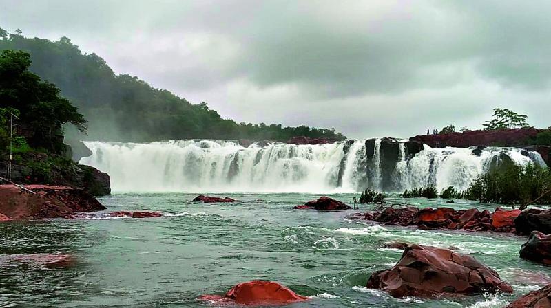 The Bogatha waterfall revived on Saturday after the Cheekupalle stream received flood water due to heavy rains in the neighbouring states. The Bogatha waterfall revived on Saturday after the Cheekupalle stream received flood water due to heavy rains in the neighbouring states.