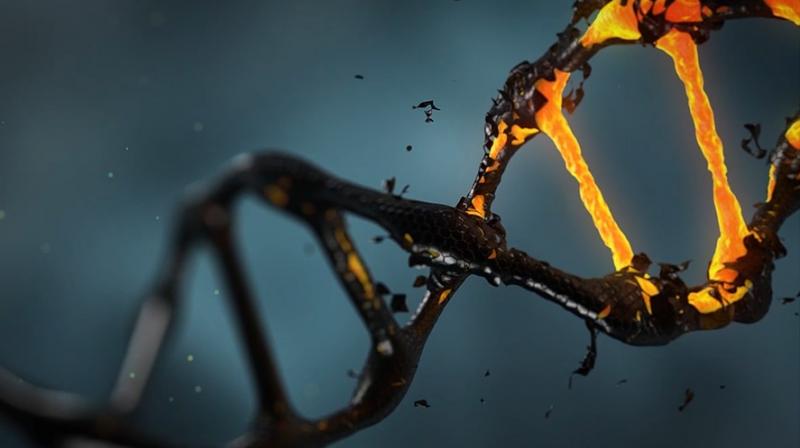 Researchers reveals cells are first responders to repair damaged DNA. (Photo: Pixabay) Researchers reveals cells are first responders to repair damaged DNA. (Photo: Pixabay)