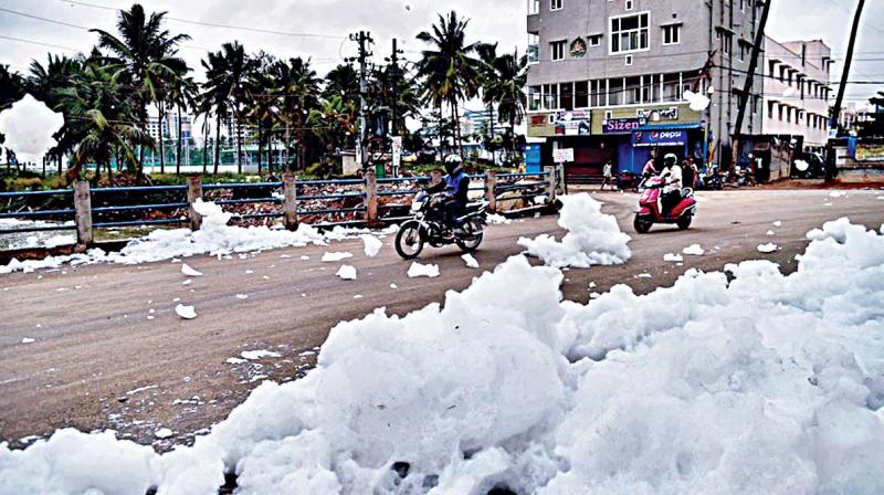 NGT on Friday observed that storm water drains are meant to carry rainwater to lakes and sewage. NGT on Friday observed that storm water drains are meant to carry rainwater to lakes and sewage.