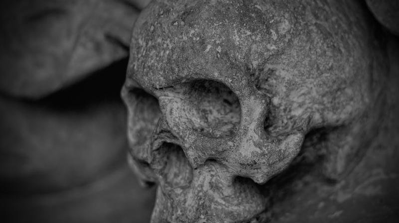 Evidence was first uncovered in 2008 in a cave in Siberia. (Representational Photo: Pixabay) Evidence was first uncovered in 2008 in a cave in Siberia. (Representational Photo: Pixabay)