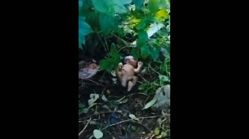 The abandoned baby.  X.com