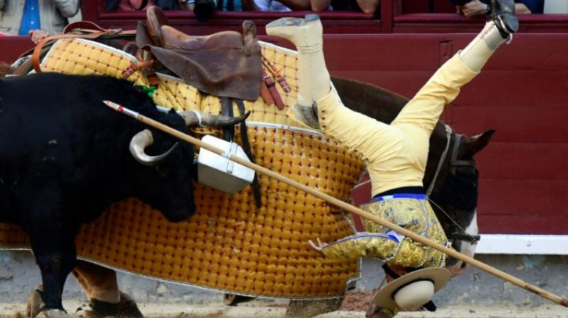 Around 500,000 enthusiasts are expected to descend on Madrid's Las Ventas arena during the month-long Feria de San Isidro, the Spanish capital's biggest bullfighting festival. (Photo: AP) Around 500,000 enthusiasts are expected to descend on Madrid's Las Ventas arena during the month-long Feria de San Isidro, the Spanish capital's biggest bullfighting festival. (Photo: AP)