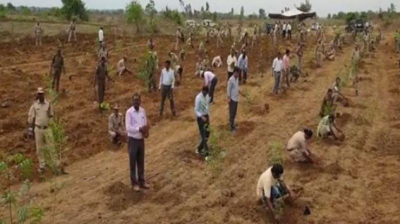 As many as 400 officials took part in this plantation drive, including 50 policemen, and planted saplings as a way of responding to the assault. (Photo: ANI) As many as 400 officials took part in this plantation drive, including 50 policemen, and planted saplings as a way of responding to the assault. (Photo: ANI)