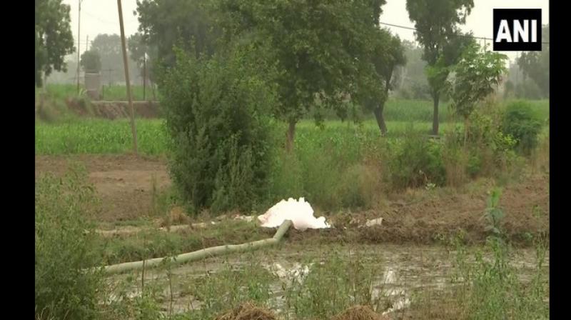 Farmers claim that the toxic water coming from the drain contains chemicals which work as fertilisers for their farms and helps them save money spent on buying compost and urea. (Photo: File I Representational) Farmers claim that the toxic water coming from the drain contains chemicals which work as fertilisers for their farms and helps them save money spent on buying compost and urea. (Photo: File I Representational)