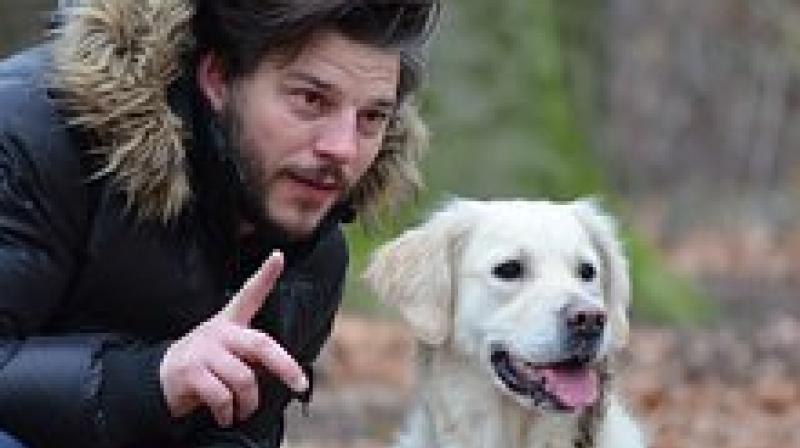 Speech interaction between adult dogs and humans showed that so called "dog-speak" improves attention and helps humans bond with pets. (Photo: Pixabay) Speech interaction between adult dogs and humans showed that so called "dog-speak" improves attention and helps humans bond with pets. (Photo: Pixabay)