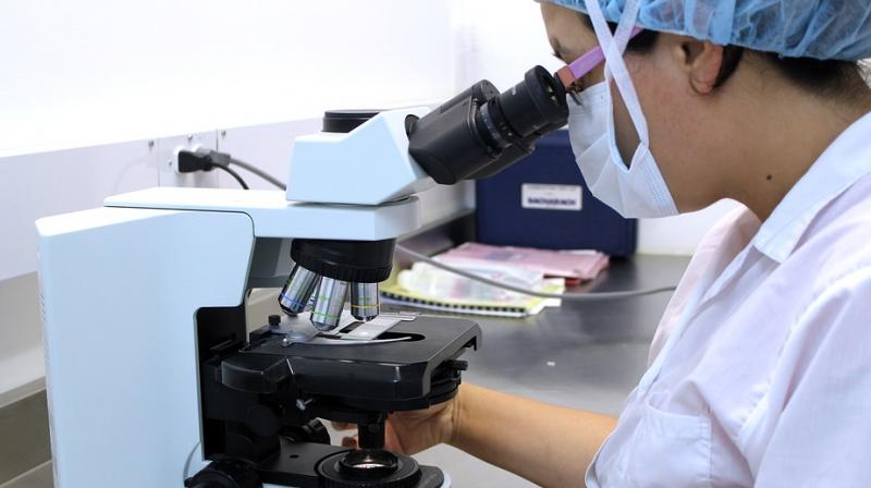 Scientists develop self-healing, recyclable 'electronic skin'. (Photo: Pixabay) Scientists develop self-healing, recyclable 'electronic skin'. (Photo: Pixabay)