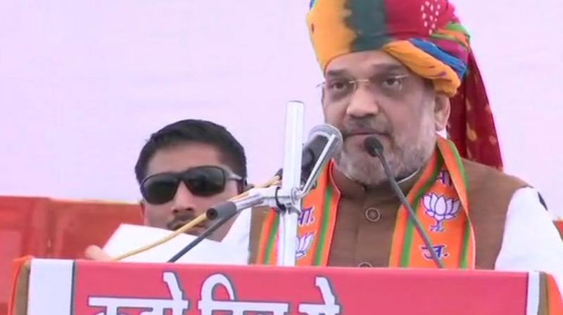 Addressing an election rally here, Shah said, 'I have been repeatedly asking Rahul Gandhi to name the leader of his party...But he doesn't say anything.' (Photo: ANI | Twitter) Addressing an election rally here, Shah said, 'I have been repeatedly asking Rahul Gandhi to name the leader of his party...But he doesn't say anything.' (Photo: ANI | Twitter)