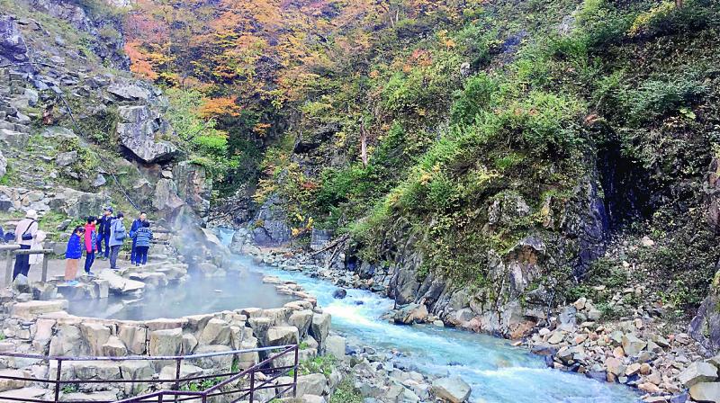 The inside of the Jigokudani Monkey Park where the monkeys often gather. The inside of the Jigokudani Monkey Park where the monkeys often gather.