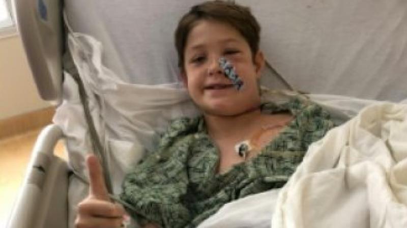 He was attacked by a swarm of wasps and fell from a tree house (Photo: AFP) He was attacked by a swarm of wasps and fell from a tree house (Photo: AFP)