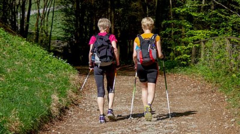 Nordic walking gives huge benefits because breast cancer patients are survivors, and from a socio-psychological point of view, that really impacts their life. (Photo: Representational/Pixabay) Nordic walking gives huge benefits because breast cancer patients are survivors, and from a socio-psychological point of view, that really impacts their life. (Photo: Representational/Pixabay)