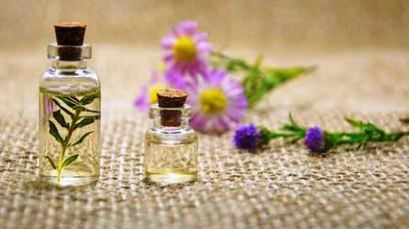It appears that essential oil products have the potential to cause premature breast growth in young girls and boys, so it may be best to discontinue using them on children. (Photo: Representational/Pexels) It appears that essential oil products have the potential to cause premature breast growth in young girls and boys, so it may be best to discontinue using them on children. (Photo: Representational/Pexels)