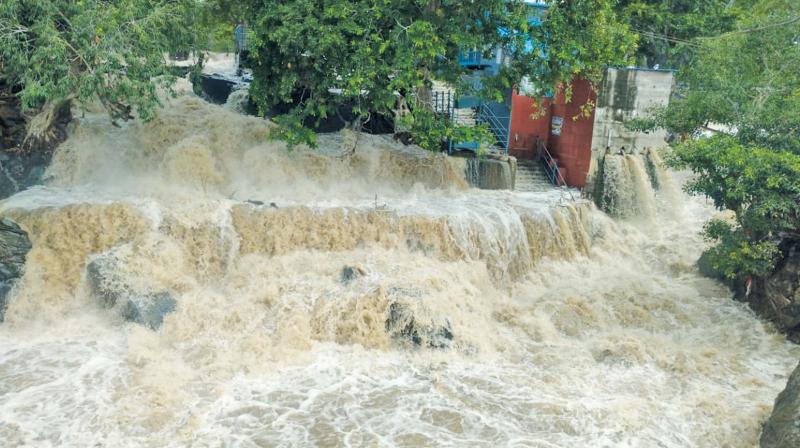 A flooded Hogenakkal falls.(Photo: DC) A flooded Hogenakkal falls.(Photo: DC)