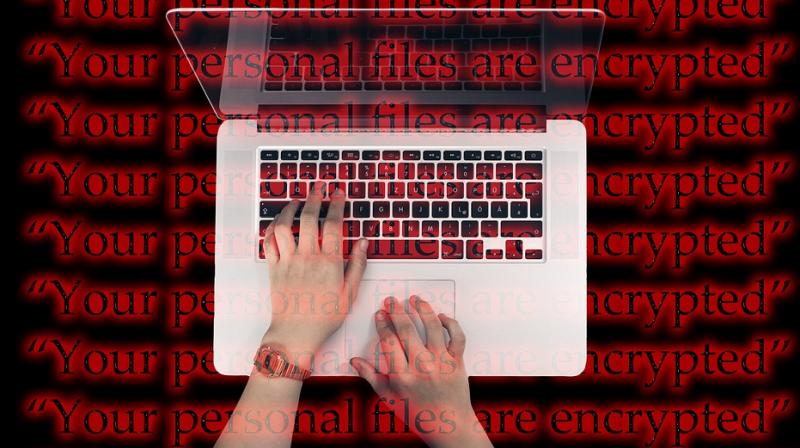 The malware is designed to target just French computer users with Varenyky being aimed at those subscribed to Orange customers. (Photo: Pixabay) The malware is designed to target just French computer users with Varenyky being aimed at those subscribed to Orange customers. (Photo: Pixabay)