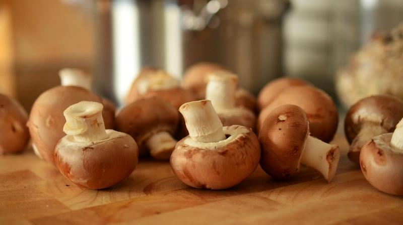 Certain edible and medicinal mushrooms contain bioactive compounds that may enhance nerve growth in the brain and protect against inflammations. Certain edible and medicinal mushrooms contain bioactive compounds that may enhance nerve growth in the brain and protect against inflammations.