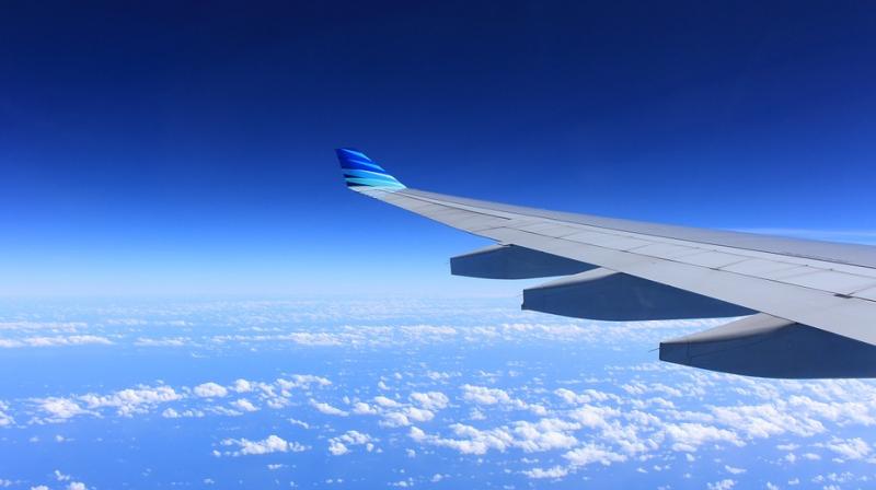 The plane took off late Sunday afternoon and climbed to a cruising altitude of just over 35,000 feet. A little over an hour later, it rapidly gained altitude and then dropped drastically within minutes. (Representational Image/ Pixabay) The plane took off late Sunday afternoon and climbed to a cruising altitude of just over 35,000 feet. A little over an hour later, it rapidly gained altitude and then dropped drastically within minutes. (Representational Image/ Pixabay)