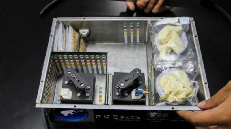 The test will use a dried and vacuum-sealed version of the fruit, which packs much less of an odour. (Photo: AFP) The test will use a dried and vacuum-sealed version of the fruit, which packs much less of an odour. (Photo: AFP)