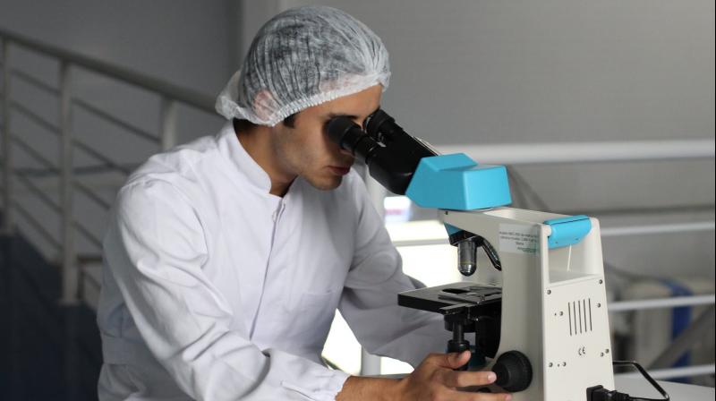 The researchers have carefully developed and curated a collection of lung cancer cell lines since the 1970s that is now recognised as the worlds largest. (Photo: Pixabay) The researchers have carefully developed and curated a collection of lung cancer cell lines since the 1970s that is now recognised as the worlds largest. (Photo: Pixabay)