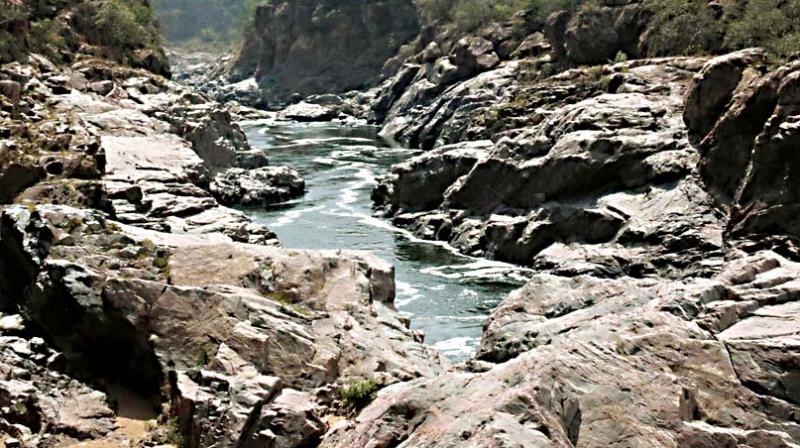 This comes soon after the Central Water Commission gave permission to Karnataka to prepare a Detailed Project Report on the Mekedatu project. This comes soon after the Central Water Commission gave permission to Karnataka to prepare a Detailed Project Report on the Mekedatu project.