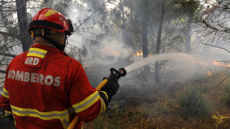 A Portuguese firefighter works to stop a forest fire from reaching the village of Figueiro dos Vinhos central Portugal (Photo: AP) A Portuguese firefighter works to stop a forest fire from reaching the village of Figueiro dos Vinhos central Portugal (Photo: AP)
